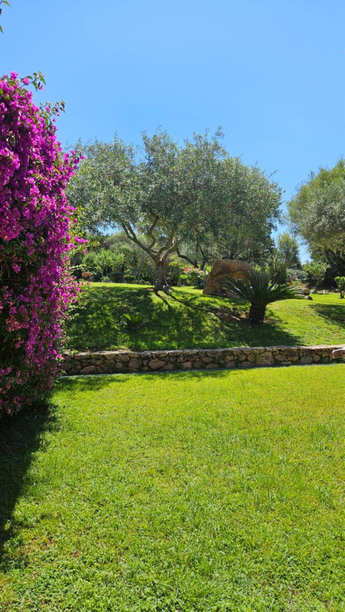 Residenze Coda Cavallo San Teodoro  Kültér fotó
